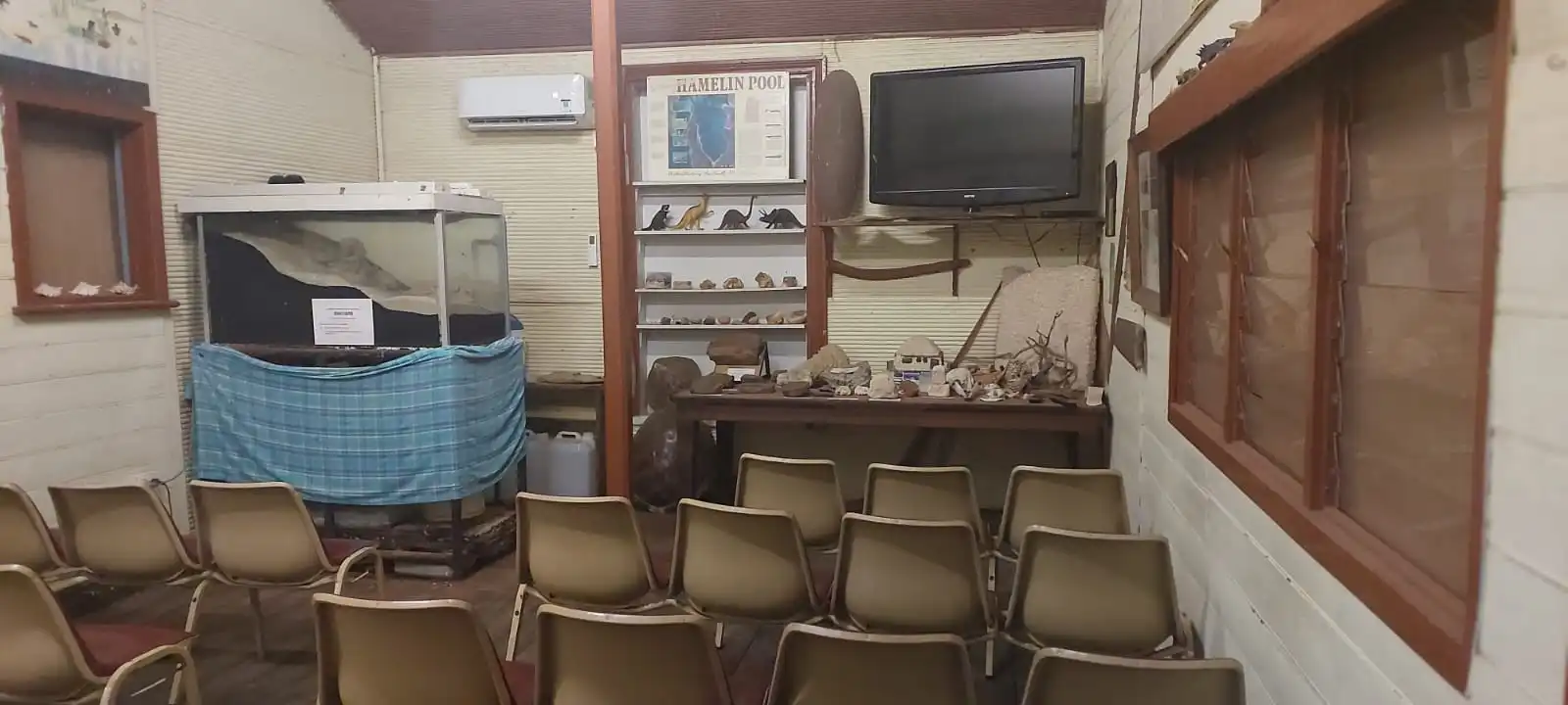 WhatsApp Image 2025-08-27 at 10.46