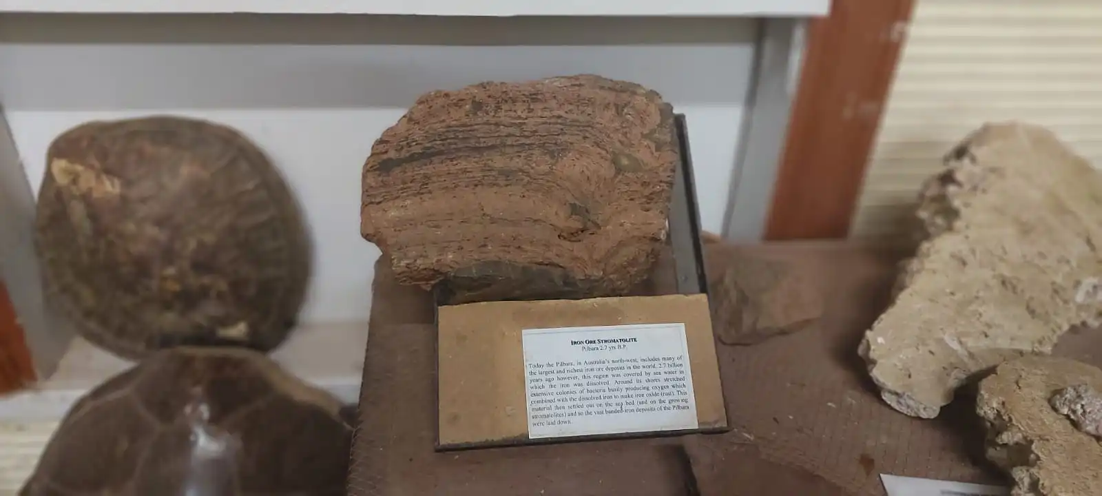 WhatsApp Image 2025-08-27 at 8.49