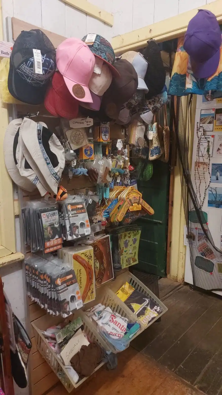 WhatsApp Image 2025-09-01 at 6.16