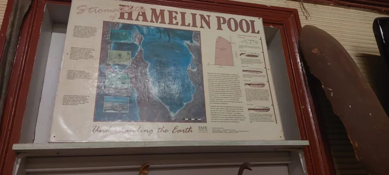 Hamelin Pool Map