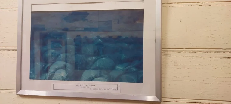 Another photo of Stromatolites closer to the shoreline.